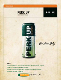 Perk up