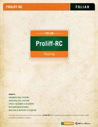 proliff-rc