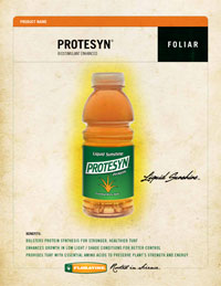 protesyn