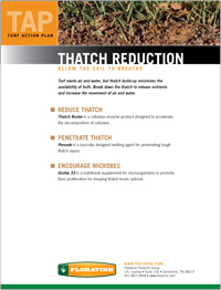 Thatch Reduction